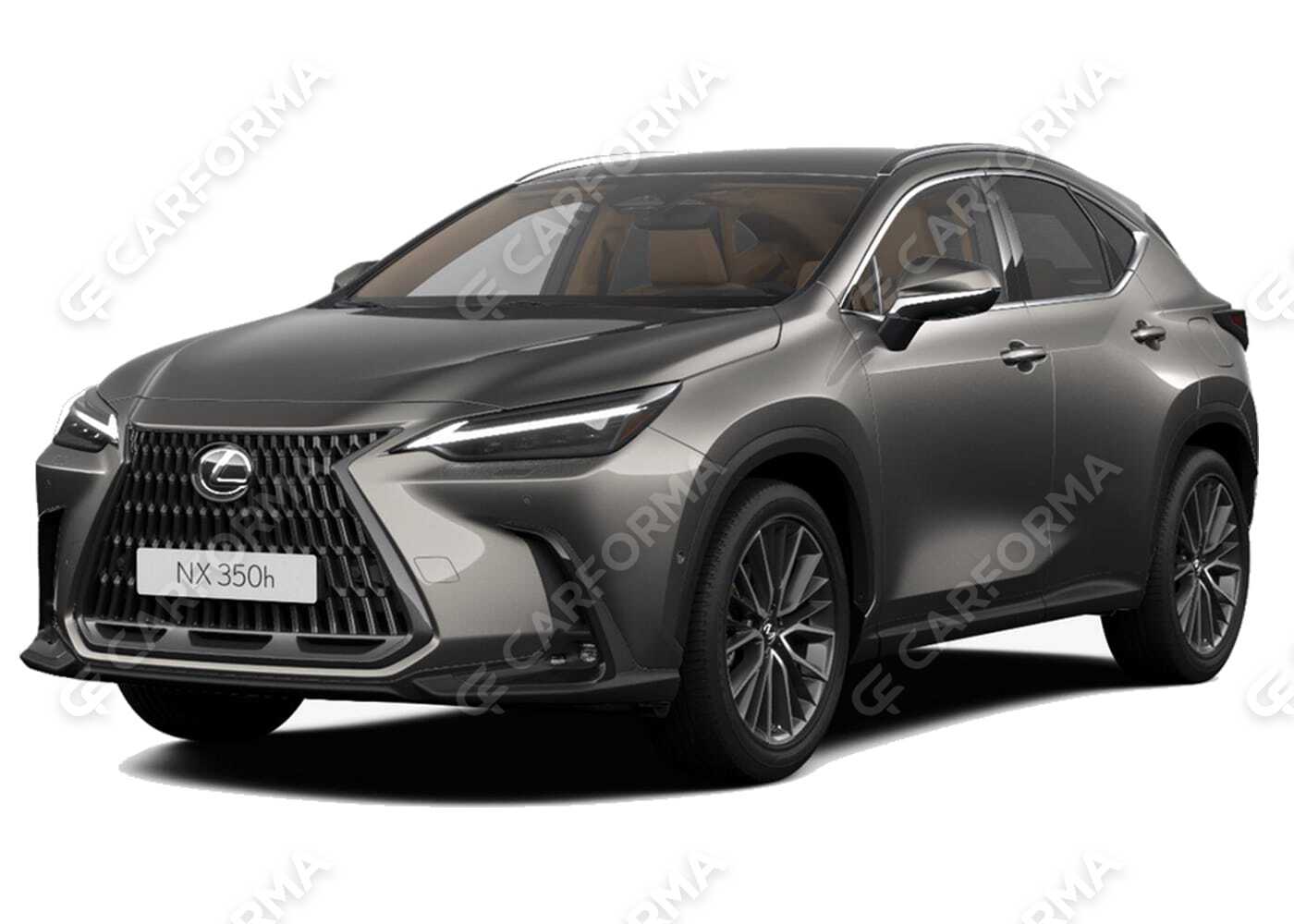 Ворсовые коврики на Lexus NX II 2021&nbsp;-&nbsp;2026 в Чебоксарах
