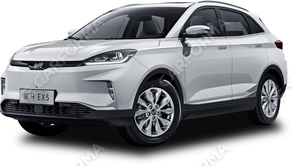 Ворсовые коврики на Weltmeister EX5 2018&nbsp;-&nbsp;2022