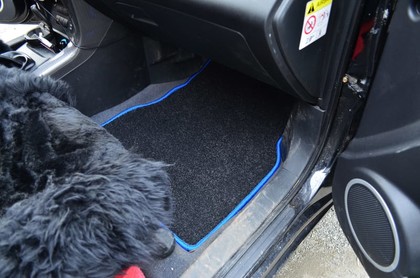 Ворсовые коврики на Lifan X60 2011&nbsp;-&nbsp;2022 в Чебоксарах