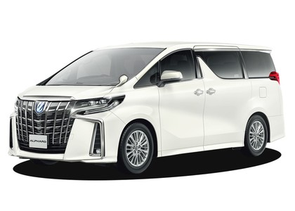 Ворсовые коврики на Toyota Alphard (H30) 2015&nbsp;-&nbsp;2023 в Чебоксарах