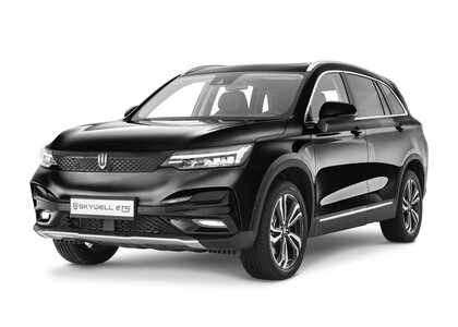 Ворсовые коврики на Skywell ET5 2021&nbsp;-&nbsp;2026 в Чебоксарах