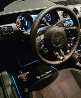 Коврики на Ford Mustang VI 2013&nbsp;-&nbsp;2023 в Чебоксарах