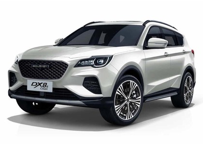 Коврики на Soueast DX8S 2022&nbsp;-&nbsp;2026 в Чебоксарах