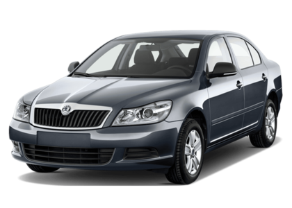 Ворсовые коврики на Skoda Octavia A5 и FL 2004&nbsp;-&nbsp;2013 в Чебоксарах