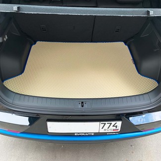 Ворсовые коврики на Evolute i-Joy 2022&nbsp;-&nbsp;2026 в Чебоксарах