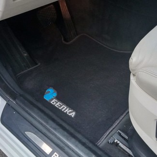 Ворсовые коврики на BMW 5 Gran Turismo (F07) 2009&nbsp;-&nbsp;2016 в Чебоксарах