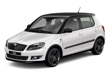 Коврики на Skoda Fabia II 2007&nbsp;-&nbsp;2015 в Чебоксарах