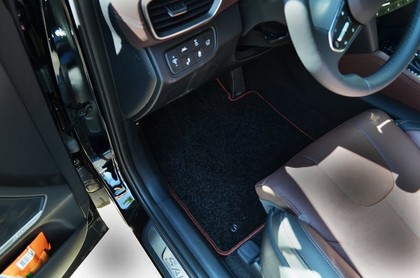 Ворсовые коврики на Hyundai Santa Fe IV 2018&nbsp;-&nbsp;2021 в Чебоксарах